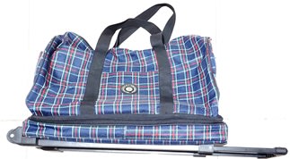 POLO 拉桿式 旅行袋 旅行包 行李箱 行李袋 行李包 登山包 手提袋 手提包
