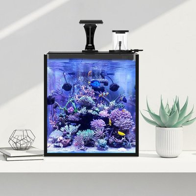現貨熱銷-迷你創意背濾桌面辦公室家用蛋分海水缸全套設備玻璃珊瑚缸魚缸玻滿仟免運