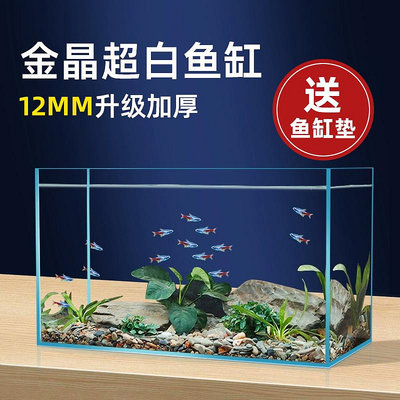 超白玻璃魚缸客廳桌面生態金魚烏龜缸小型造賞魚缸可