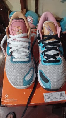 Nike RENEW ELEVATE II 兔寶寶華納聯名限定  限量鴛鴦陰陽鞋 兔年，SIZE:8.5。