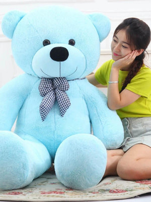 泰迪熊公仔大熊布娃娃毛絨玩具熊大號生日禮物女生抱抱熊1.6米1.8