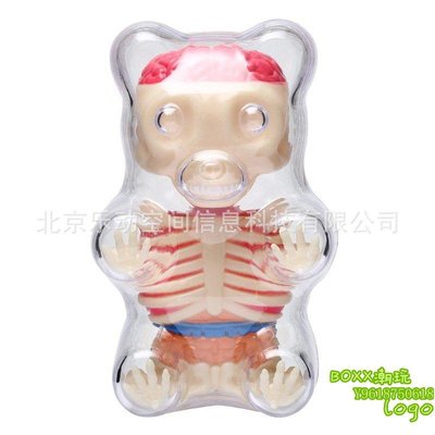 BOxx潮玩~香港4D Master軟糖小熊透視骨骼模型 藝術家可拆裝 27550