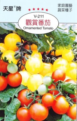 觀賞番茄 【滿７９０免運費】 天星牌蔬果種子 保證新鮮種子