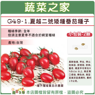 【蔬菜之家滿額免運】G49-1.夏越二號矮種番茄種子2顆//番茄種子,番茄,小番茄,蔬果種子,果菜種子,種植,園藝,種子