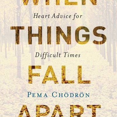 書籍 現貨When Things Fall Apart by  Pema Chodron紙質版英文