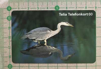 【卡庫】【鳥類】瑞典1997年，蒼鷺  KSE6090