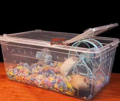 倉鼠飼養盒透明西班牙睡鼠金絲熊小窩用品花枝鼠養殖箱睡鼠外帶籠