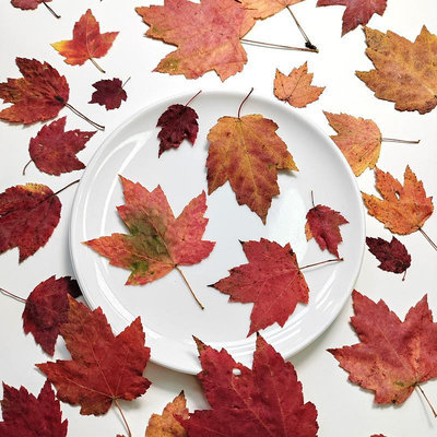 雞爪槭香山北美紅楓葉壓花手機殼滴膠diy干花材料拼貼畫櫥窗裝飾