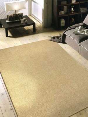 【范登伯格 】璀璨四季溫暖大地色系悠閒舒適舒適進口地毯.超低價6990元含運-160x230cm