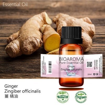 【芳香療網】Ginger - Zingiber officinalis 薑精油 10ml