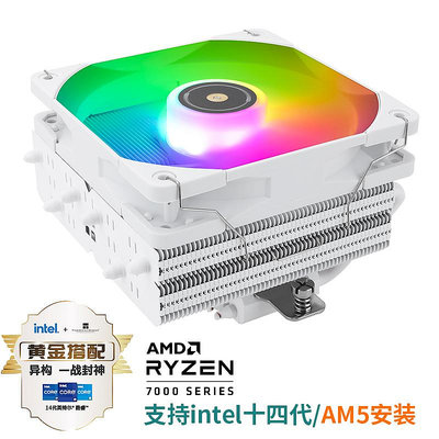 利民(THERMALRIGHT)SI-100 WHITE ARGB 100MM高度6熱管散熱器