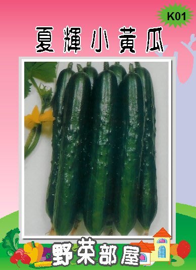 野菜部屋 K01 日本夏輝小黃瓜種子8公克 約400顆種子 多收品種 市場評價高 Yahoo奇摩拍賣