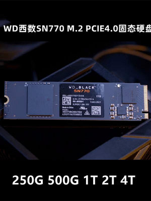 西數WD固態硬碟SN770 500G 1TB 2TB4TB NVMe M.2 SSD PCIe4.0黑盤