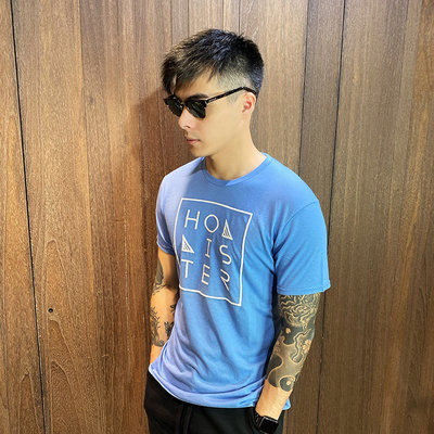 美國百分百【全新真品】 Hollister Co. T恤 HCO 短袖 T-shirt 海鷗 logo 天藍 AH48