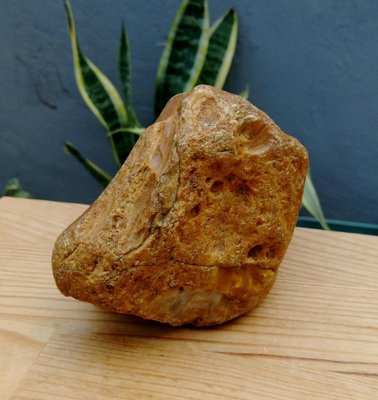 老珍藏天然原石原礦黃皮菊花玉原礦擺件/重992公克，珊瑚玉是佛教七寶之一，優質的珍藏品出清