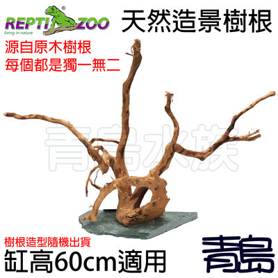 Y。。。青島水族。。。DR04中國REPTI ZOO瑞皮-天然造景樹根 樹枝 攀爬 樹棲 爬蟲箱裝飾==缸高60cm用