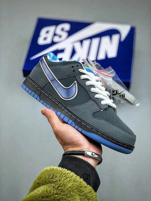 Nike SB Dunk Low x Concepts \