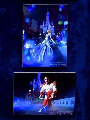 日本東京迪士尼樂園官方寫真公式照片 灰姑娘 仙杜瑞拉 白馬王子 Imagining the Magic