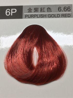 ** 美髮師 ** 專業染髮劑  100ml。6P金紫紅色