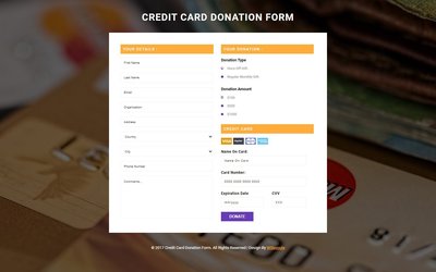 CREDIT CARD DONATION FORM 響應式網頁模板、HTML5+CSS3、網頁特效  #10057