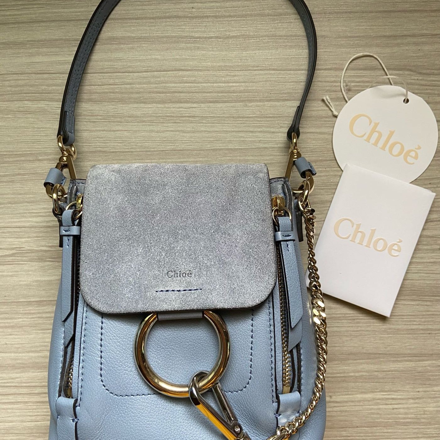 Mini faye sale chloe backpack