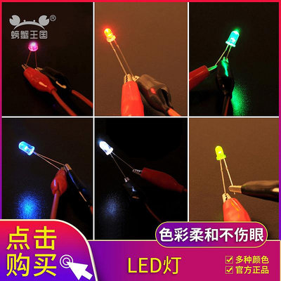 螃蟹王國 LED燈 發光二極管 高亮度 3MM 白色發多種光 10支裝