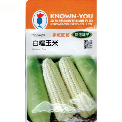 種子王國 白糯玉米 Glutiyesus Corn (sv-420) 玉米  【蔬果種子】農友種苗特選種子 每包約20公克