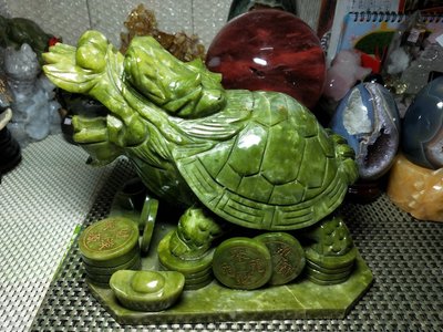 超大隻河南玉龍龜~4.5公斤請選宅配免運出貨