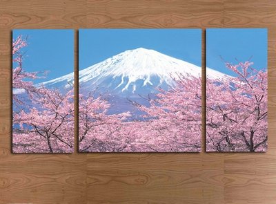 日本浮世繪壁畫神奈川海浪掛畫富士山風景畫榻榻米酒店日式裝飾畫(3幅一組)