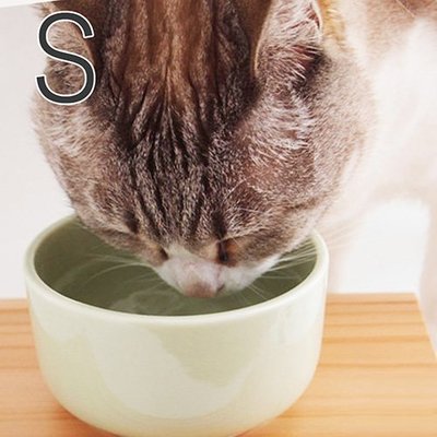 【臣喵小舖】日本製瀨戶燒 Aukatz Health Water Series-貓咪多喝水碗-綠原色 S