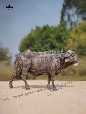 P D X模型館 JXK 1/6非洲野牛模型仿真寫實水牛動物GK樹脂擺件手辦兵人偶配件#動物模型