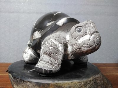 典藏梁恩圻-黑龜甲石 鋼盔龜