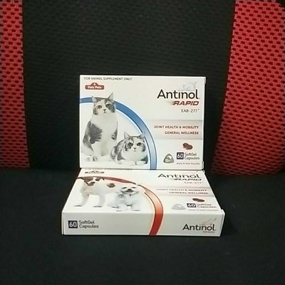 Antinol 安適得酷版60入關節保養品