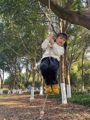 臂力器幼兒園原木攀爬球繩兒童體能訓練器材懸掛秋千玩具戶外臂力球家用
