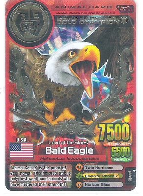 2007-2008 NAMCO 百獸大戰 英文版 遊戲卡 冠軍金卡 白頭鷹  Bald Eagle (A-003GC)
