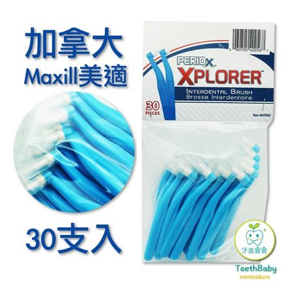 【樂齒專業口腔】加拿大美適Maxill 單束毛牙刷(30入)