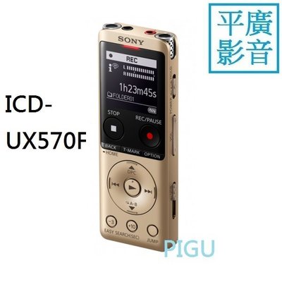 平廣 SONY ICD-UX570F 金色 錄音筆 送袋台公司貨保1年 錄音器 4GB 可FM 插卡 另售耳機喇叭記憶卡