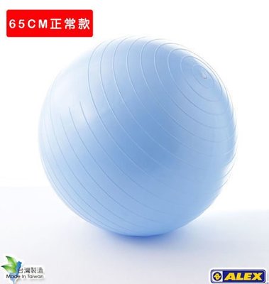 【ALEX】韻律球(65CM) B-2902