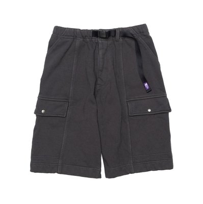 THE NORTH FACE 紫標 High Bulky French Terry Field Shorts 工作短褲