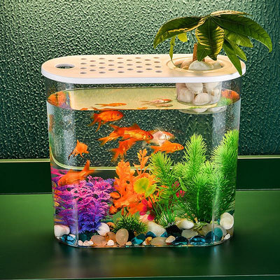現貨 快速發貨新款亞克力透明金魚缸桌面植物水族箱水缸飼養缸室內生態培養箱