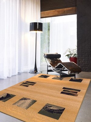 范登伯格 家鄉紐西蘭進口天然羊毛柔軟地毯.出清價 7000元含運-160x230cm
