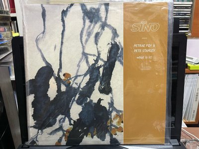 SINO／PETRAE FOY ＆ PETE STANLEY／What is it！ 節奏電音舞曲 黑膠唱片