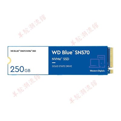 適用WD西部數據250/500G/1T/2T SSD固態硬盤NVMe協議Blue SN570