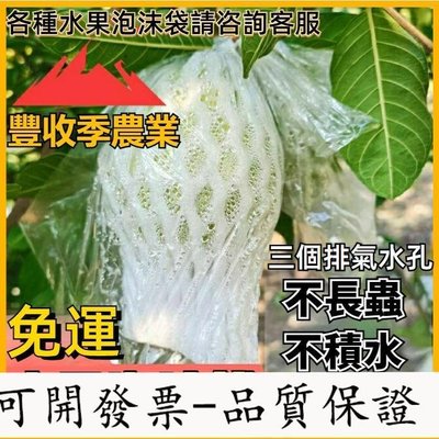 水果泡沫套袋 水果網套 泡沫套袋 防蟲保護袋 水果防蟲保護一體袋