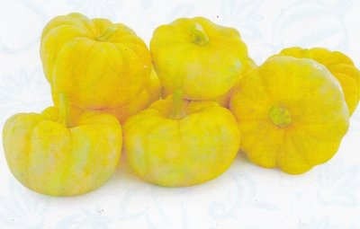 【蔬菜種子S229】黃鮑魚櫛瓜~~新型色夏南瓜，果實黃色，呈鈴噹型。採收嫩果食用，外觀可愛，品質佳。