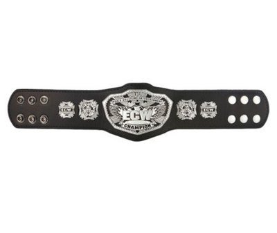 ☆阿Su倉庫☆WWE摔角 ECW Heavyweight Championship Mini Belt 迷你金屬冠軍腰帶