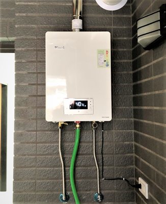 (含標準安裝)林內 RUA-C1620WF 數位恆溫強制排氣 熱水器 16公升 水量伺服器精準控溫 三段火排節能省瓦斯