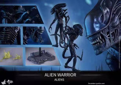 眾信優品 正版兵人模型 【新品推薦】HT HotToys 16 異形2 戰鬥異形 Alien Warrior 2.0 mms354BR271