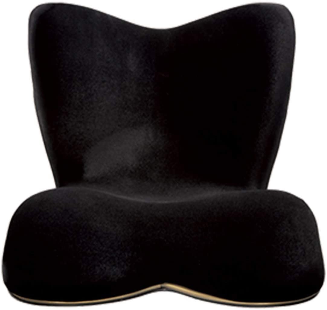 日本MTG Style PREMIUM DX 舒適頂級調整椅美姿坐姿調整墊椅墊坐墊人體