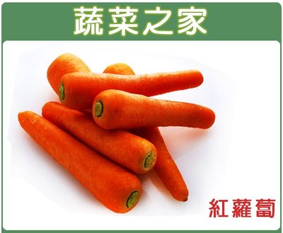 【蔬菜之家滿額免運】C01.紅蘿蔔(胡蘿蔔)種子5.2克(約3000顆)(日本進口黑田五吋.甜度高.適生鮮用)
